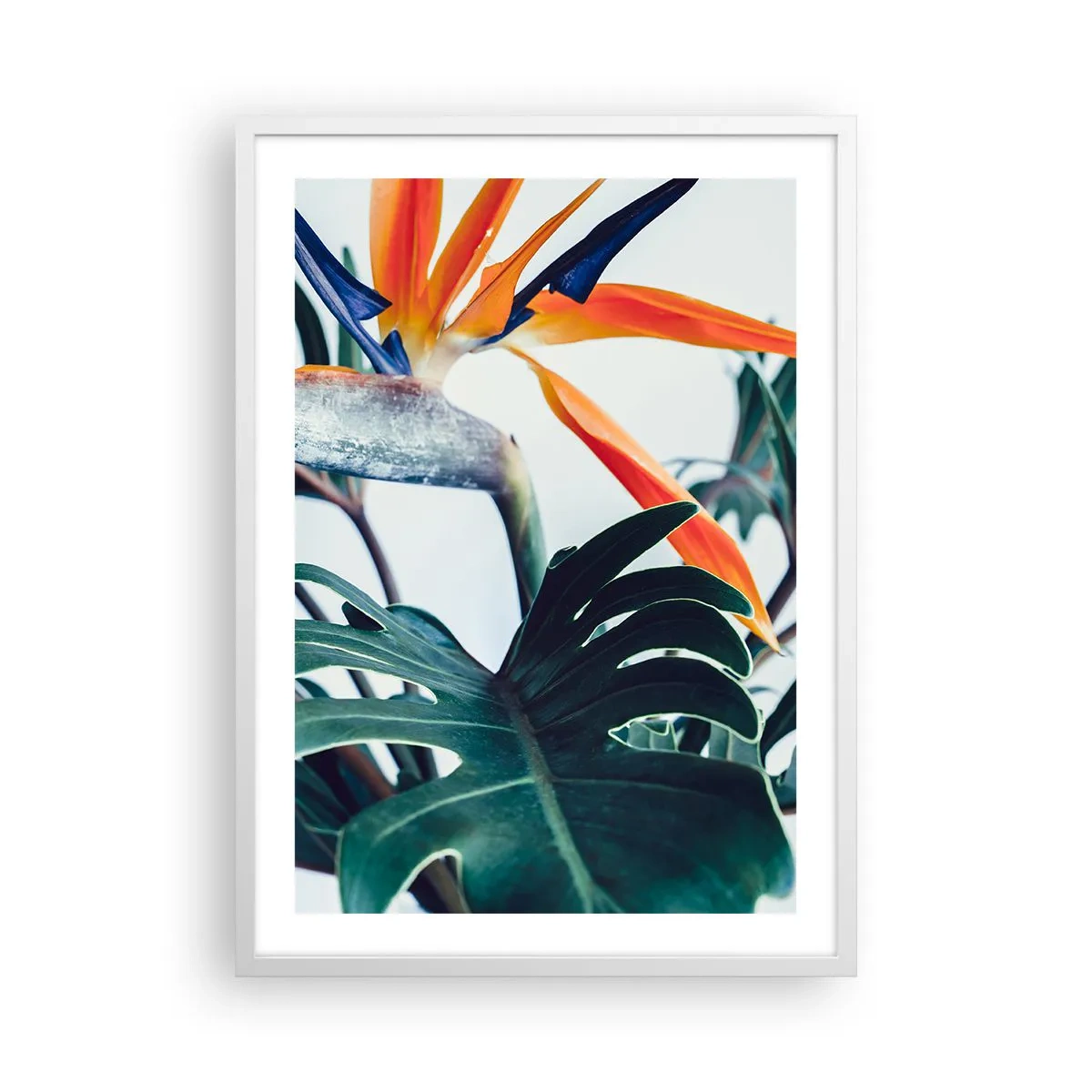 Poster in white frmae - Birdy Bush - 50x70 cm