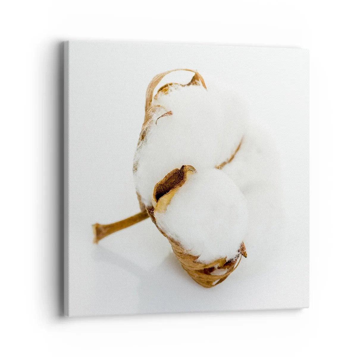 Canvas picture - Soft By Nature - 40x40 cm