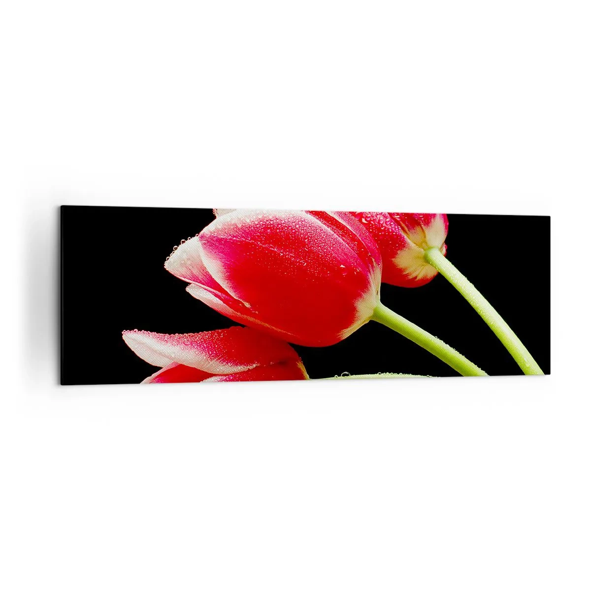 Canvas picture - Promise of Pure Love - 160x50 cm