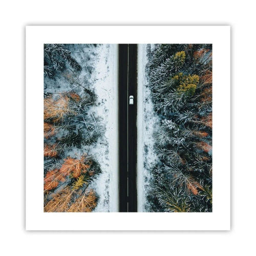 Poster - Through a Wintery Forest - 40x40 cm