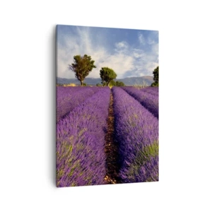 Canvas picture - Lavender Fields - 50x70 cm