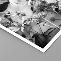 Unframed