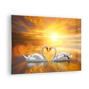 Glass picture - Two swans on the water forming a heart against the backdrop of a sunset - 70x50cm - Heart Is the Most Beautiful Word in the World - Modern wall decoration for the living room and bedroom ARTTOR