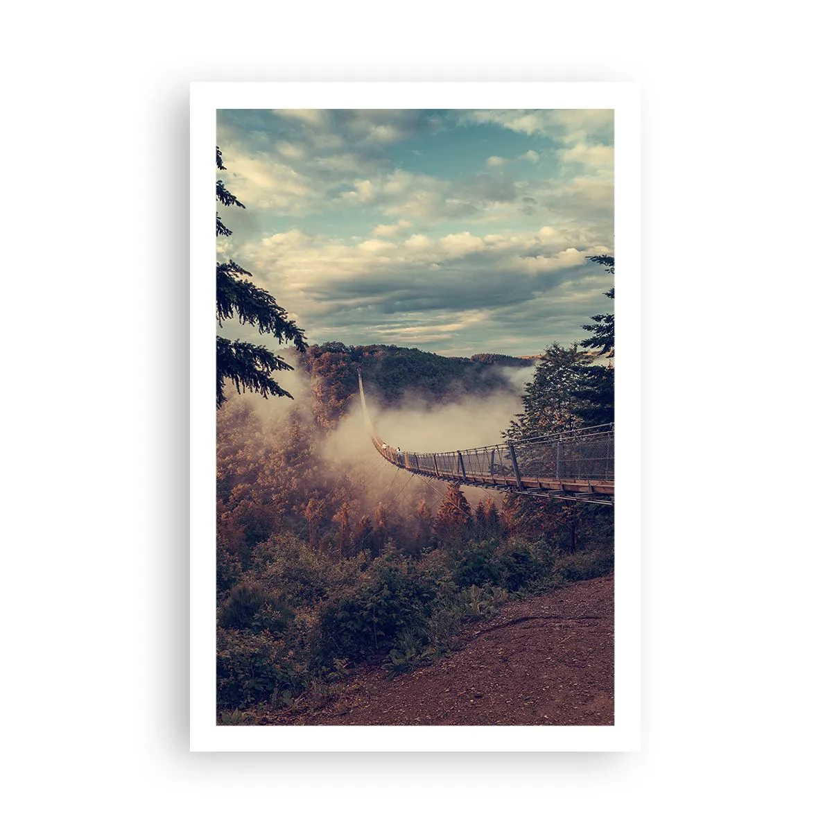 Poster - Above Autumnal Forest - 61x91 cm