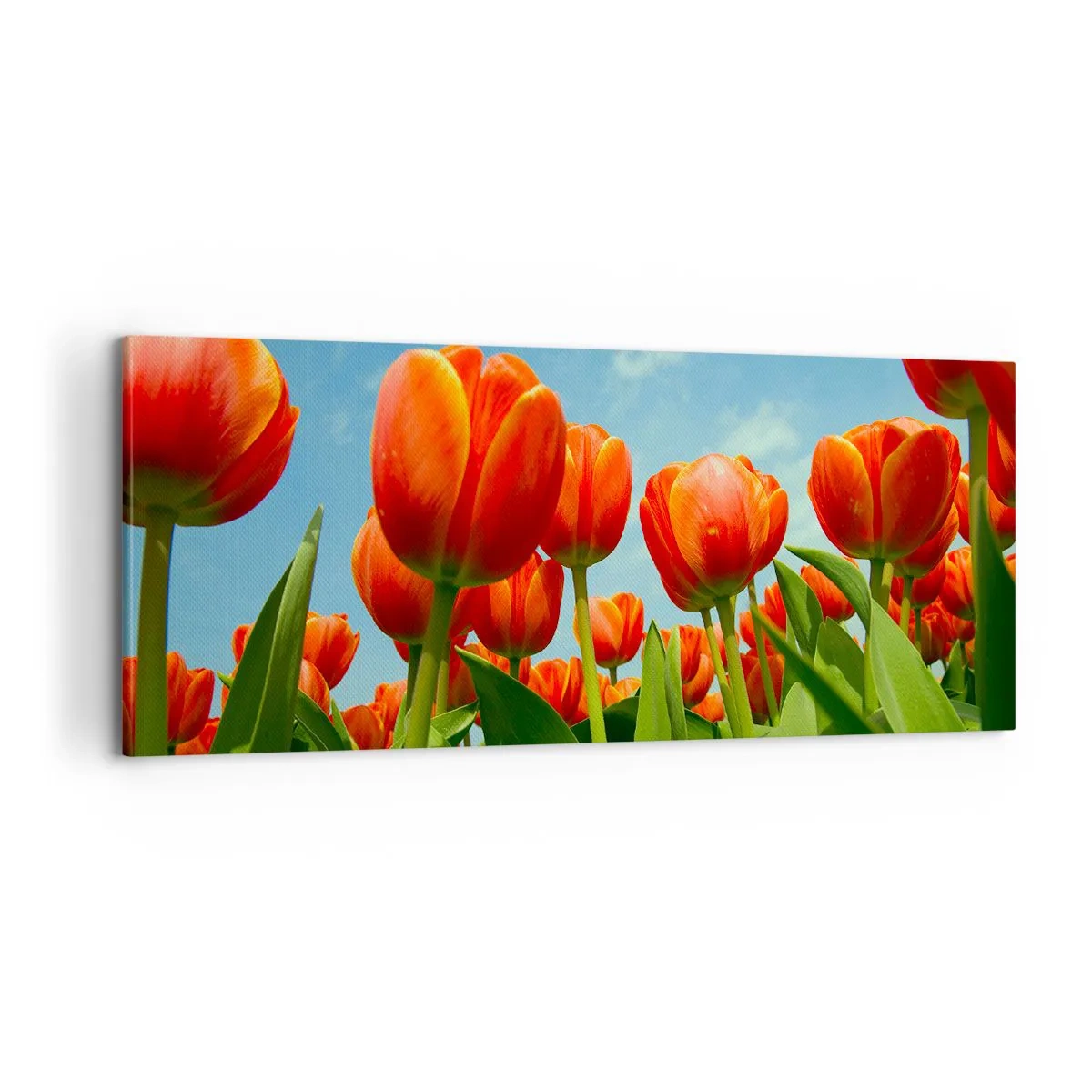 Canvas picture - Blue Sky Is All They Need - 100x40 cm