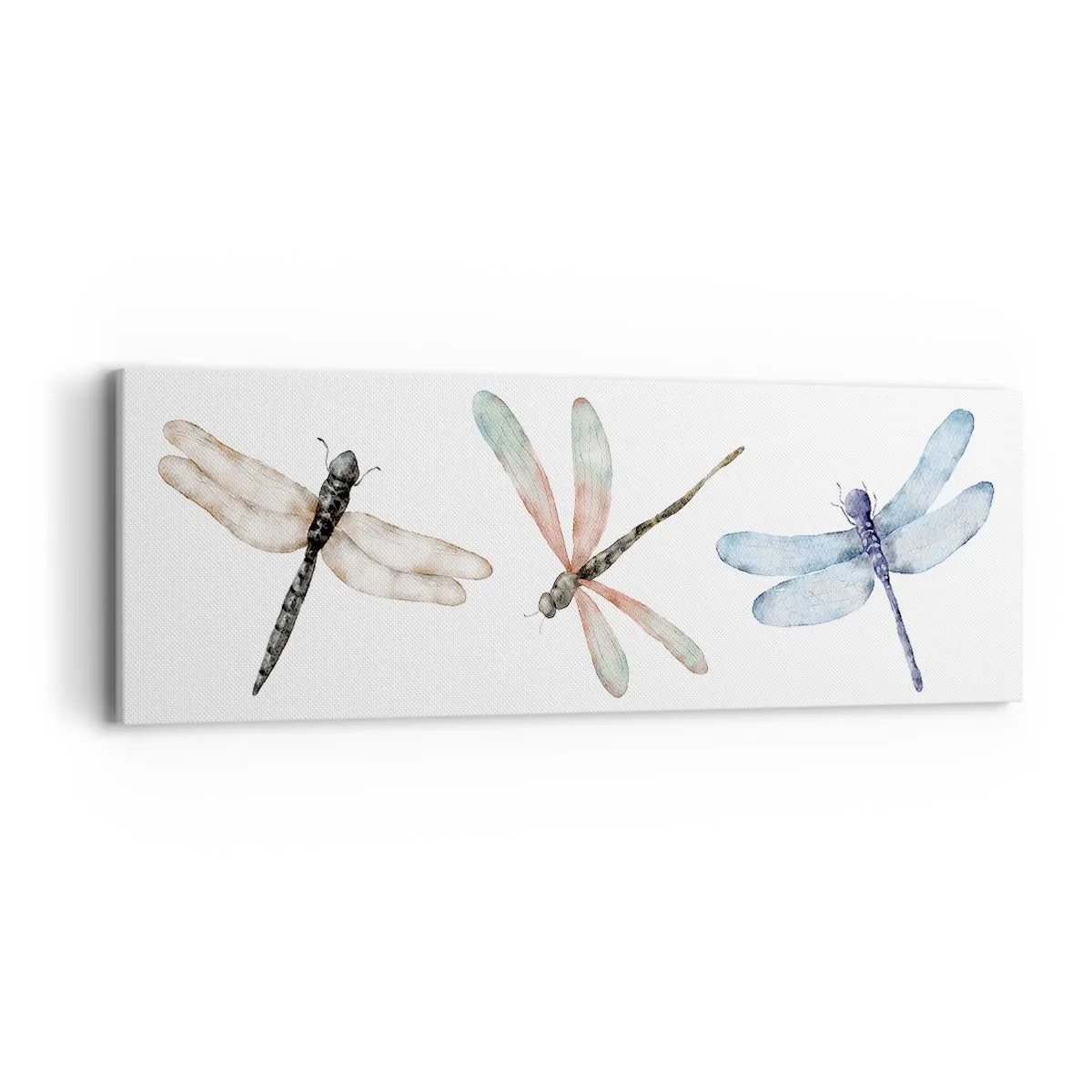 Canvas picture - Lightness of Dragonflies  - 90x30 cm