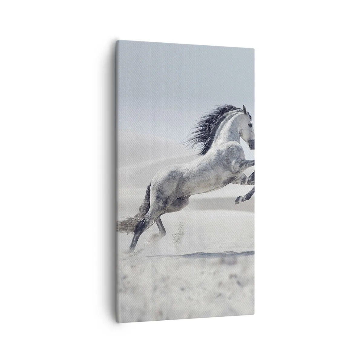 Canvas picture - Arabic Prince - 55x100 cm