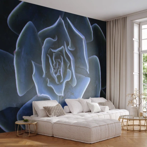 Photo Wallpaper Standard Eco - Flower of the Desert - Agave flower, Flower, Nature - 200x140 cm