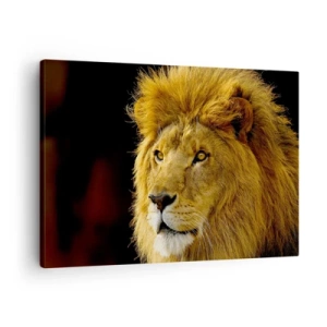 Canvas picture - Portrait of a lion with a majestic mane against a dark background - 70x50cm - Portrait of a King - Modern wall decoration for the living room and bedroom ARTTOR