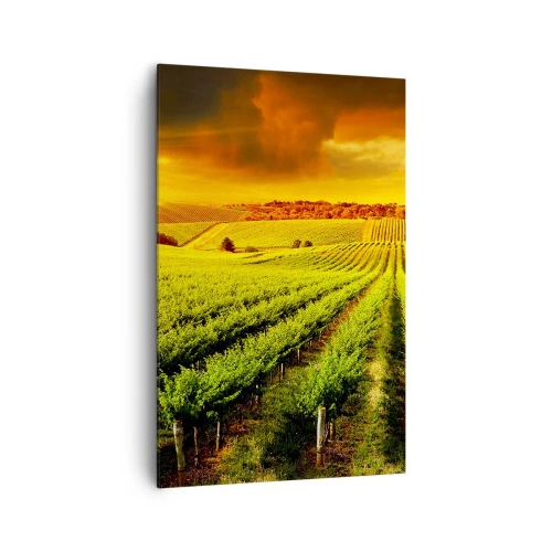 Canvas picture - Under Australian Sun - 80x120 cm
