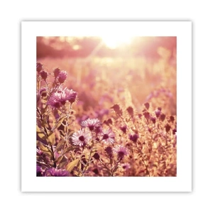 Poster - Before Summer Goes - 40x40 cm