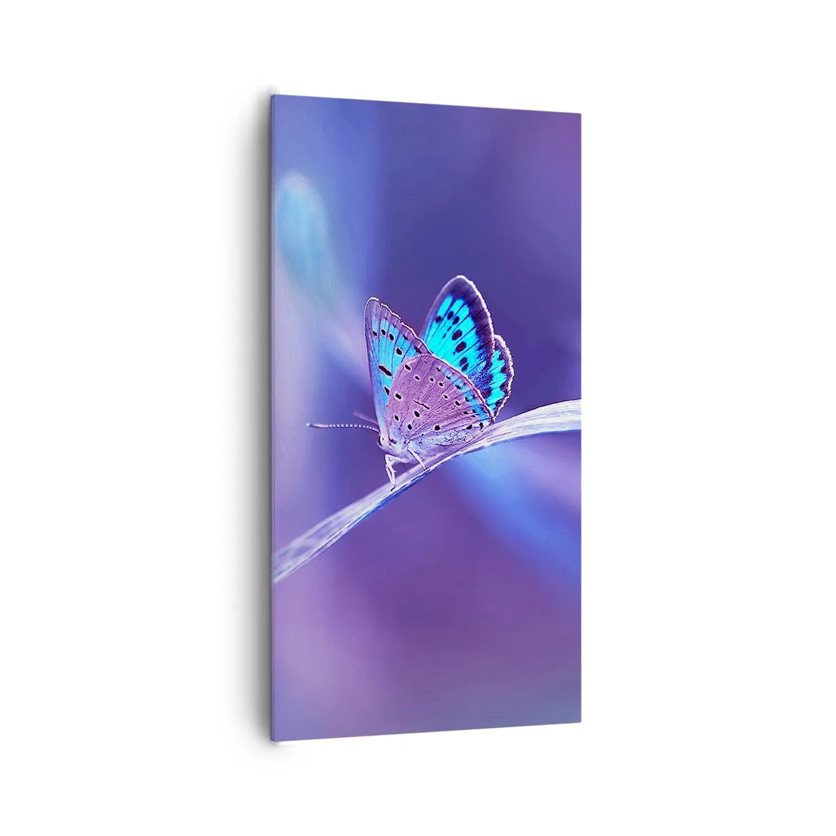 Canvas picture - Jewel of Nature - 65x120 cm