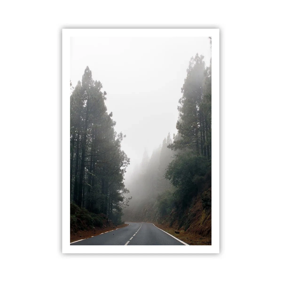 Poster - Tale of a Magic Forest - 70x100 cm