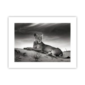 Poster - Queen of Desert Is Resting - 40x30 cm