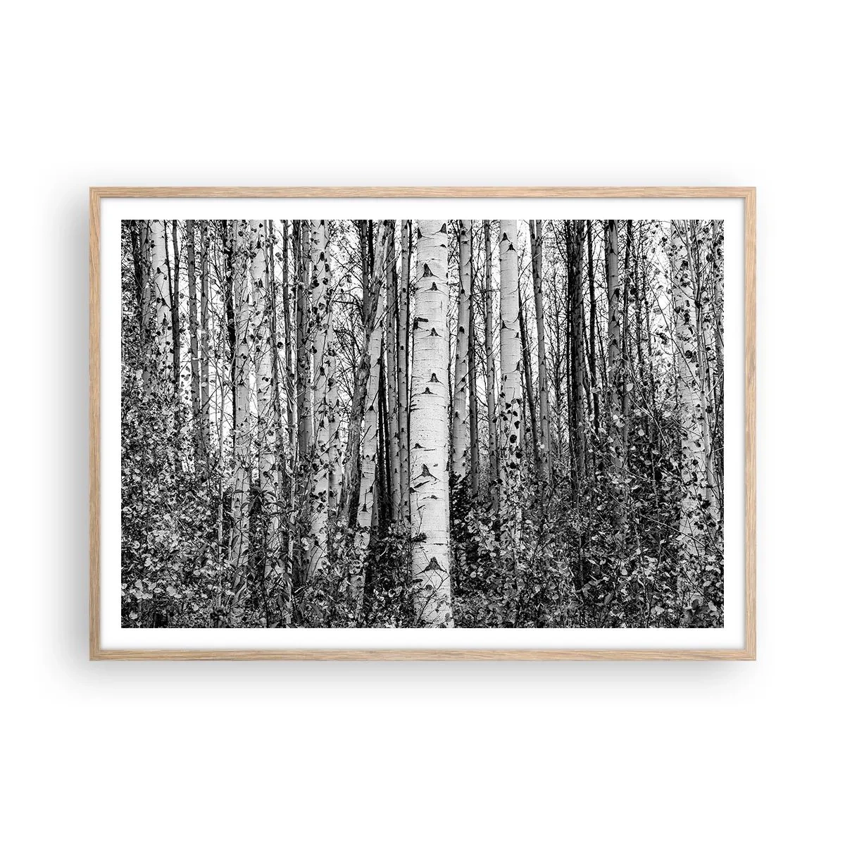 Poster in light oak frame - Birch Colonnade - 100x70 cm