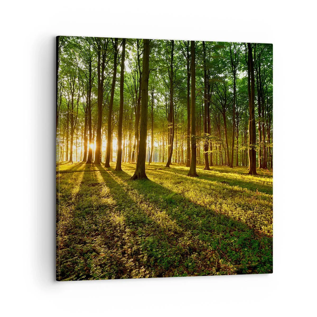 Canvas picture - Photography of All Springs - 50x50 cm