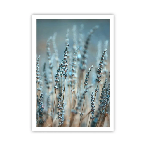 Poster - Fragrant Grass - 70x100 cm