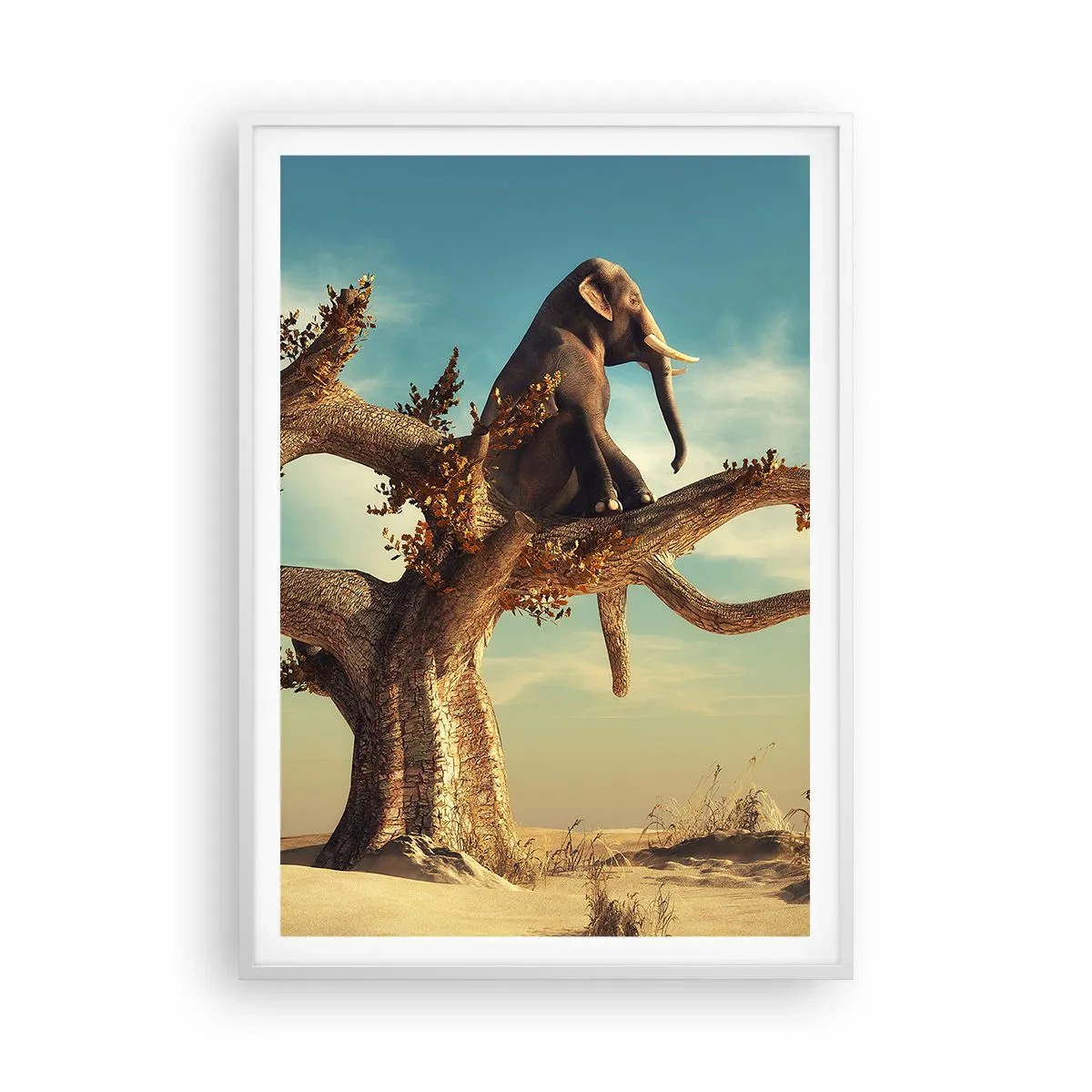 Poster in white frmae - New Point of View - 70x100 cm