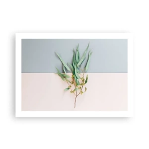 Poster - Pastel Subtlety - 70x50 cm