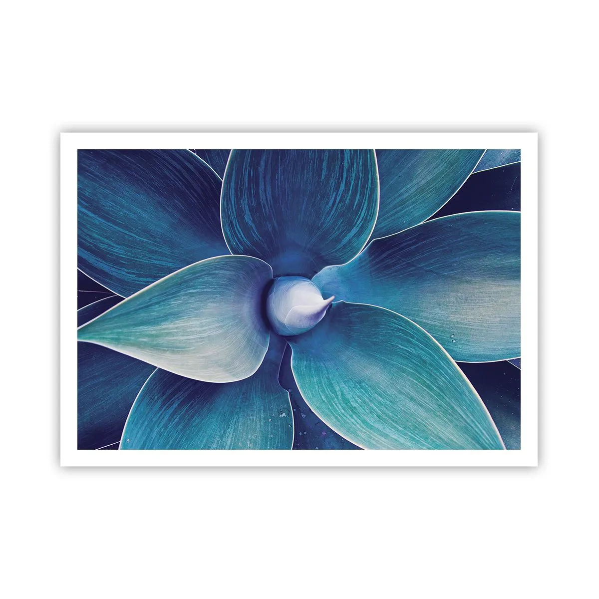Poster - Blue from the Sky - 100x70 cm