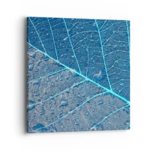 Canvas picture - Life in the Blue - 40x40 cm