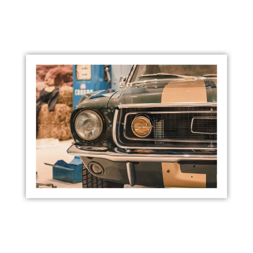 Poster - Encounter with the Legend - 70x50 cm