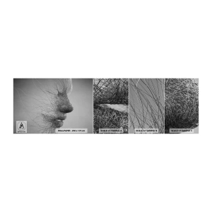 Photo Wallpaper Sample Self-Adhesive Deluxe Sticker - Spirit of the Wind - Abstraction, Woman's Face, Graphics - 100x30 cm