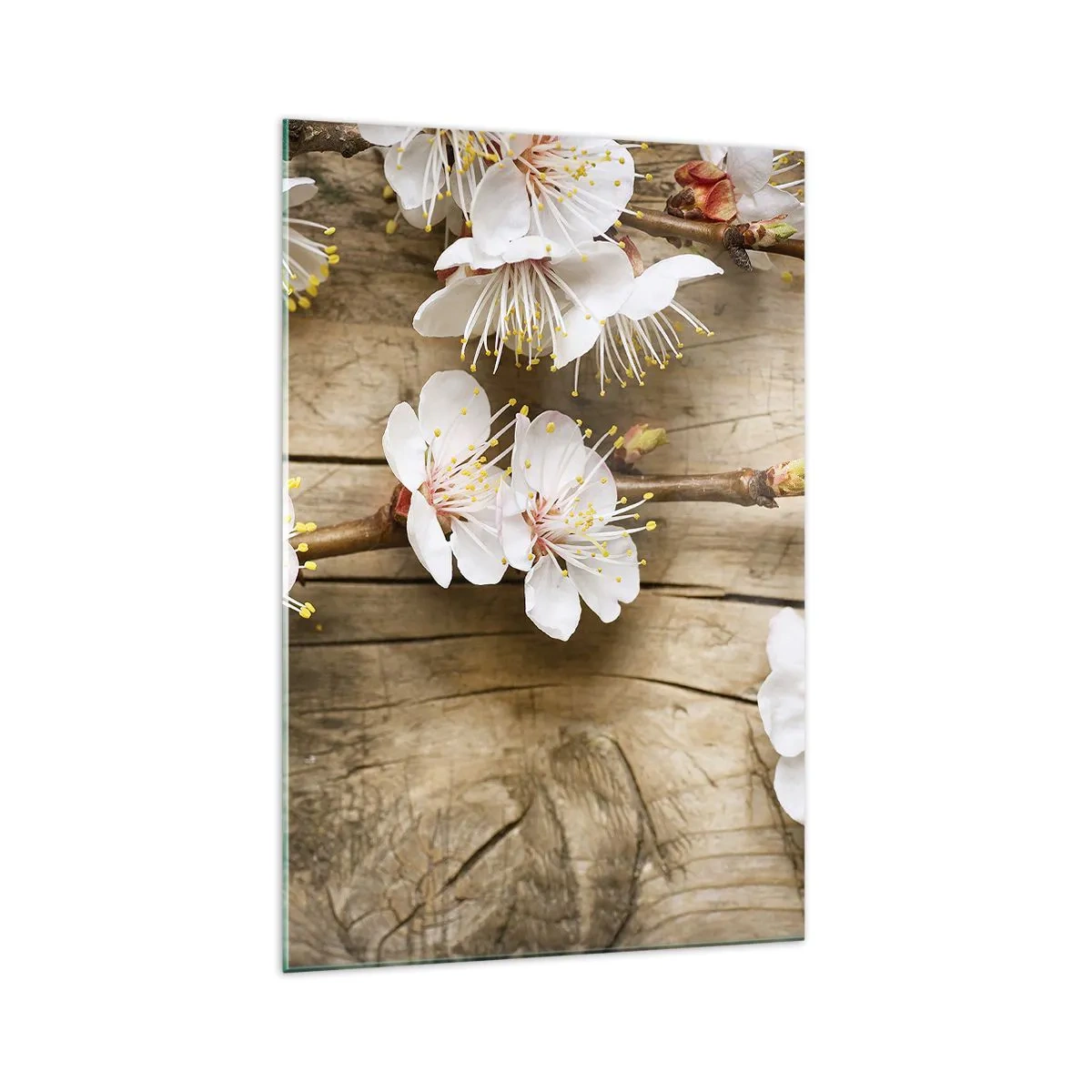 Glass picture - Spring Has Arrived - 70x100 cm