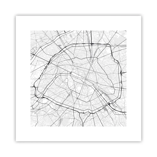 Poster - Flower of Paris - 30x30 cm