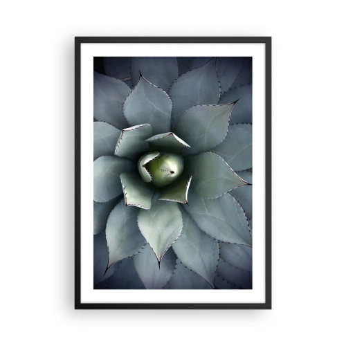 Poster in black frame - A close-up of the symmetrical leaves of a succulent in shades of green. - 50x70cm - Attracts and Warns - Modern wall decoration for the living room and bedroom ARTTOR