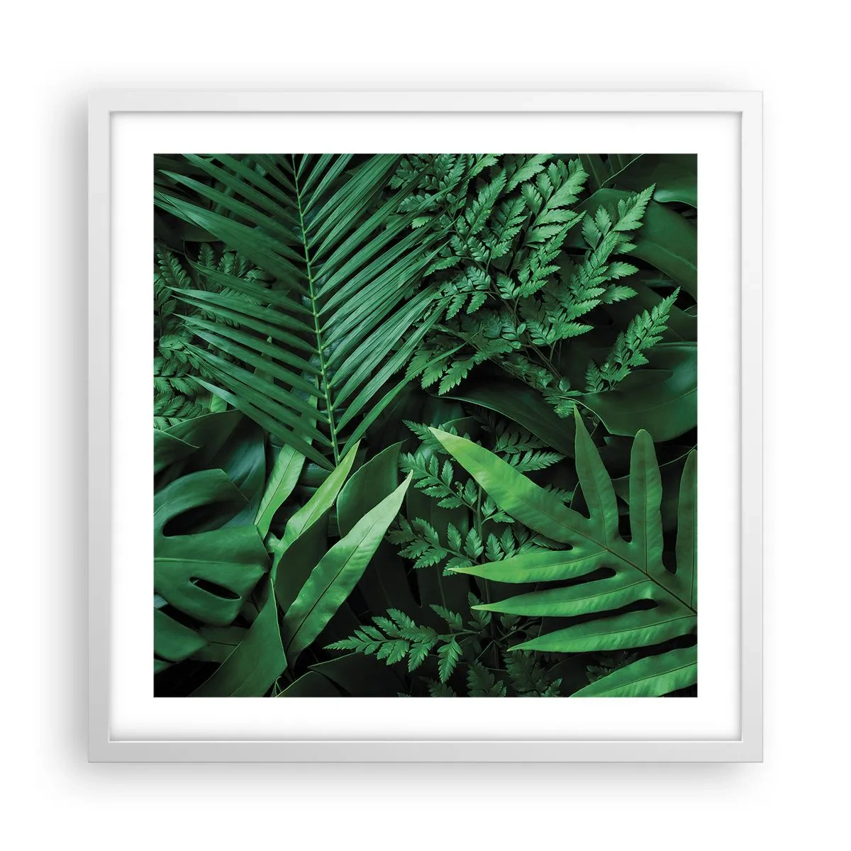 Poster in white frmae - In a Green Hug - 50x50 cm