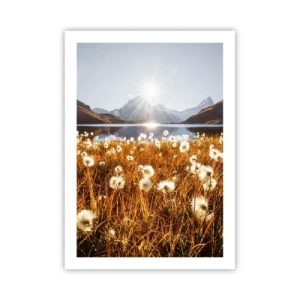 Poster - Toughness of Rocks, Softness of Grass - 50x70 cm