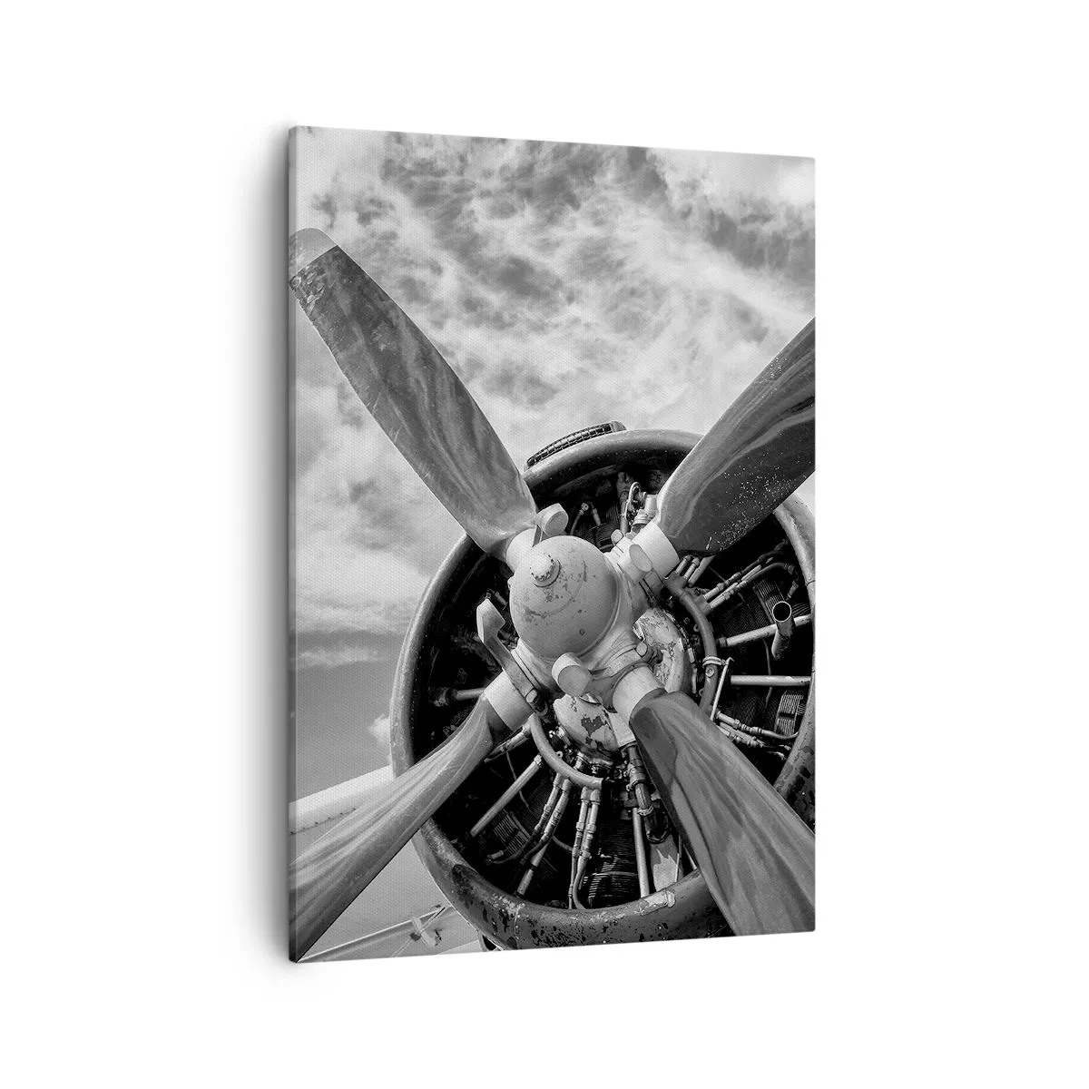Canvas picture - Conquerer of the Skies - 50x70 cm