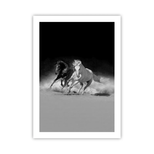 Poster - Gallop of Freedom - 50x70 cm