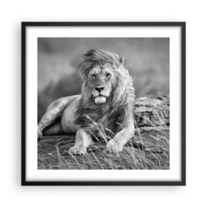 Poster in black frame - Royal Siesta - 50x50 cm