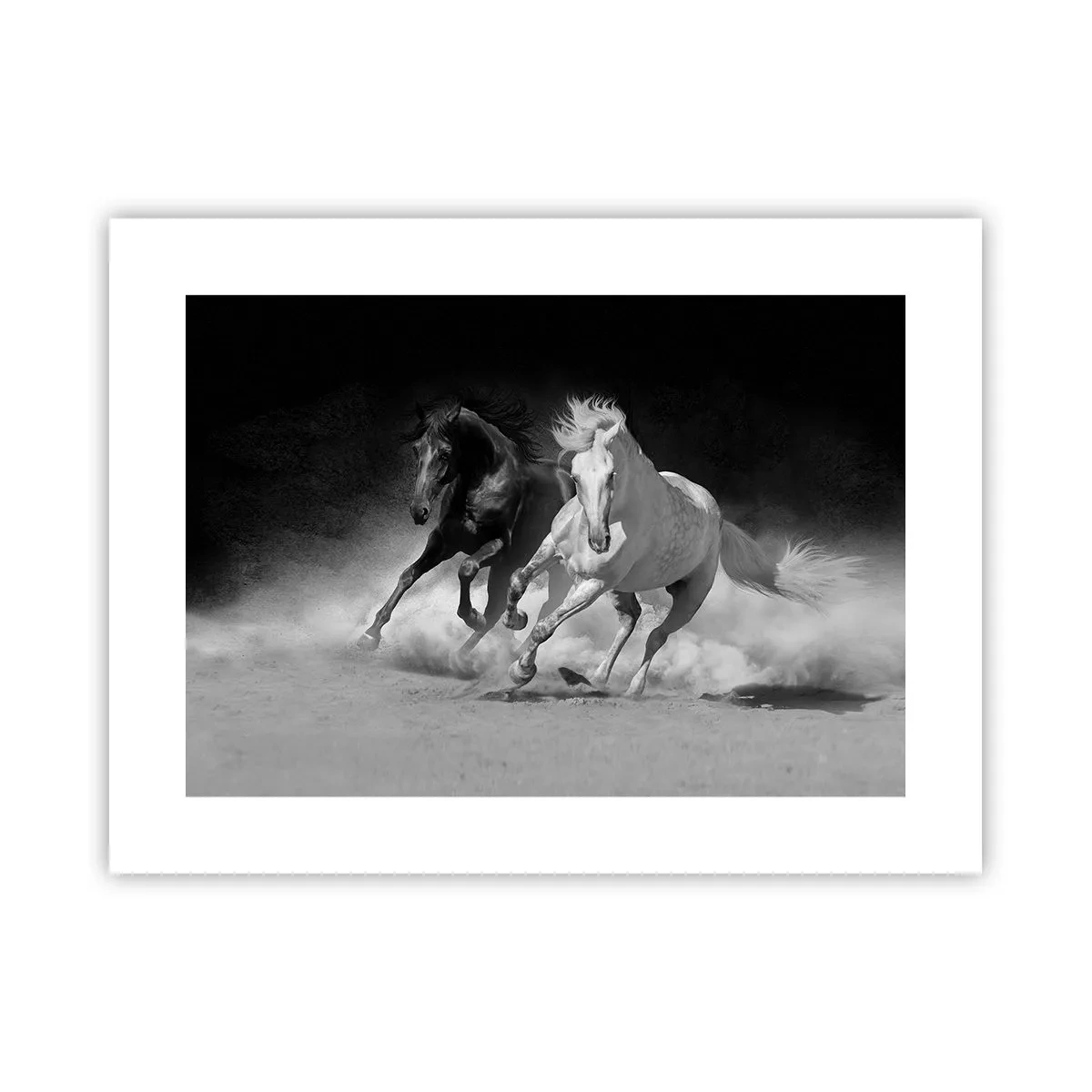 Poster - Gallop of Freedom - 40x30 cm