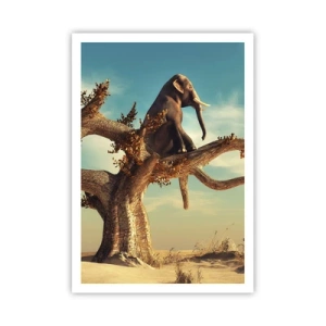 Poster - New Point of View - 70x100 cm