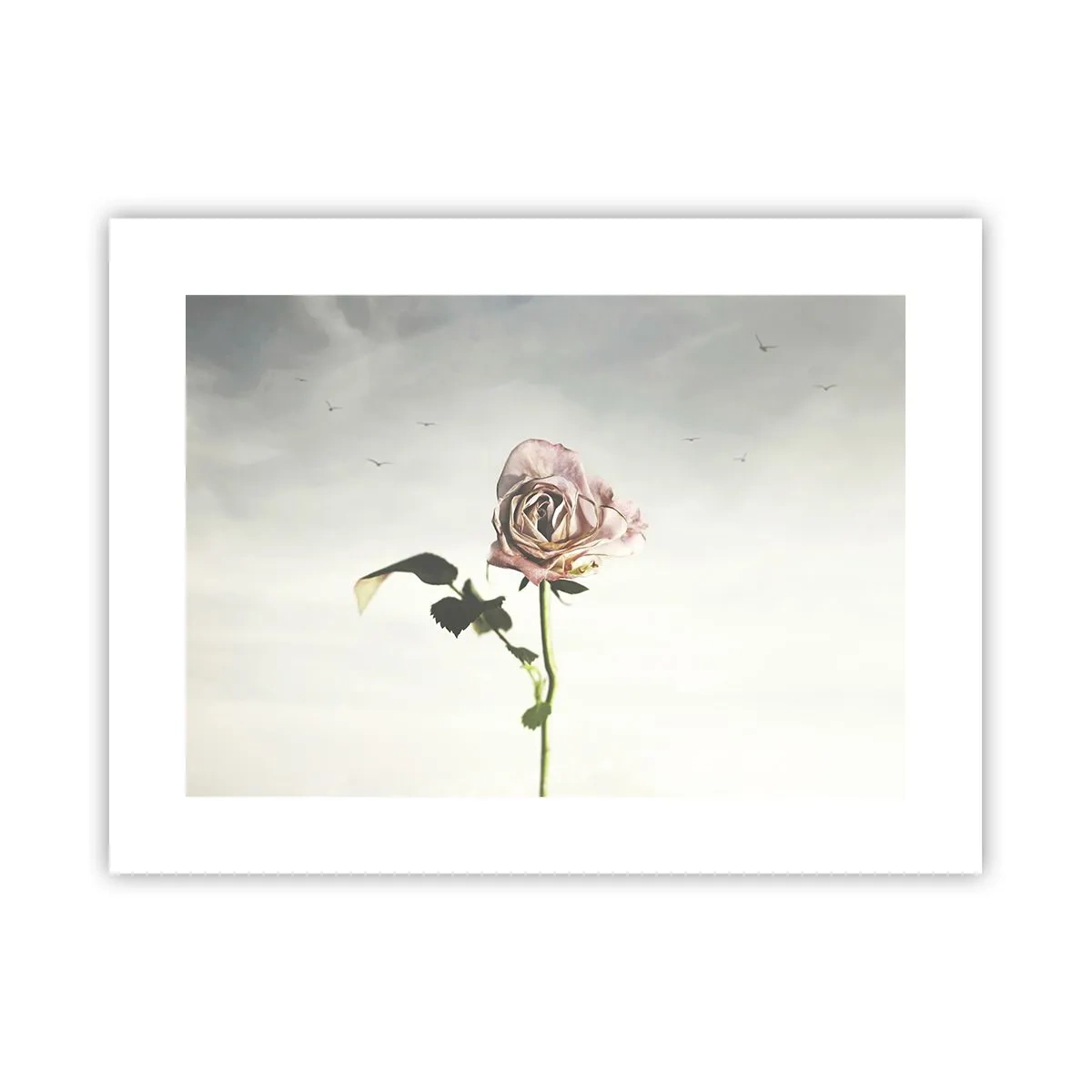 Poster - Welcoming of Spring - 40x30 cm