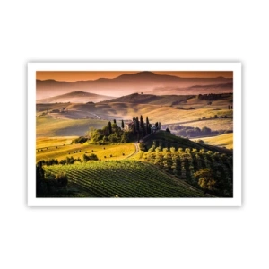 Poster - Arcadia - Tuscan Landscape - 91x61 cm