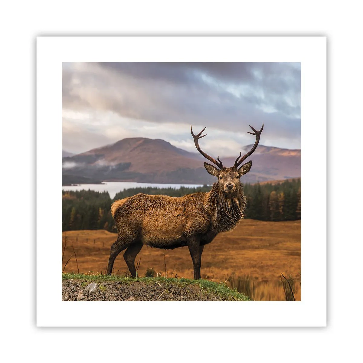 Poster - Majesty of Nature - 40x40 cm