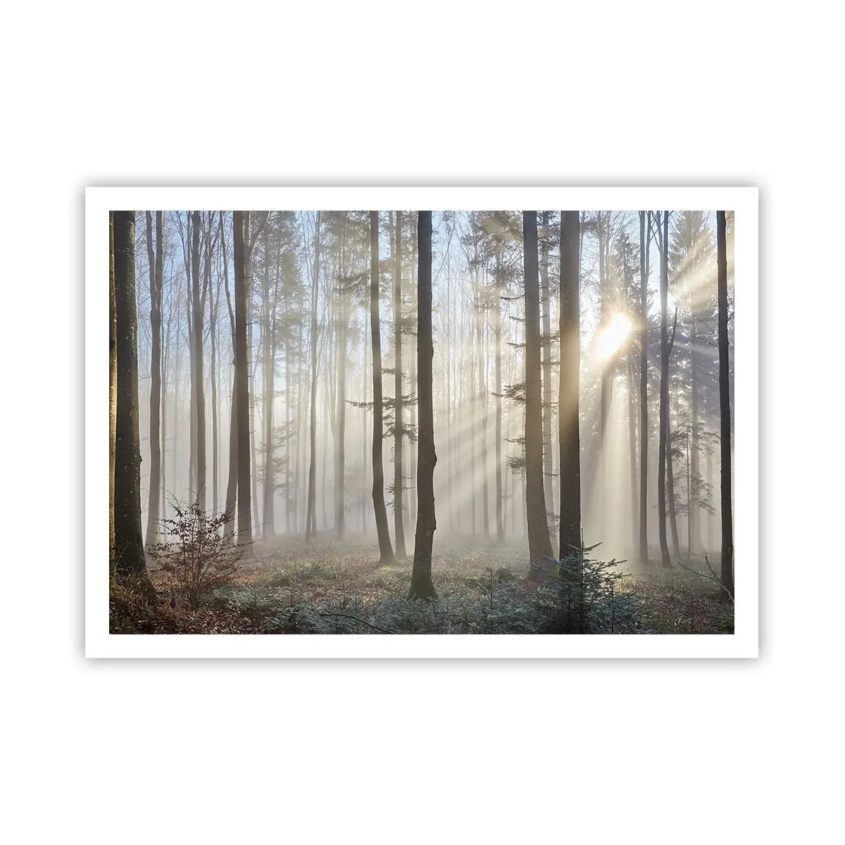 Poster - Fog Has Woken up Too - 100x70 cm