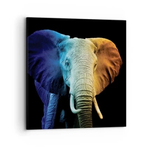 Canvas picture - Eccentric, Not a Weirdo - 70x70 cm