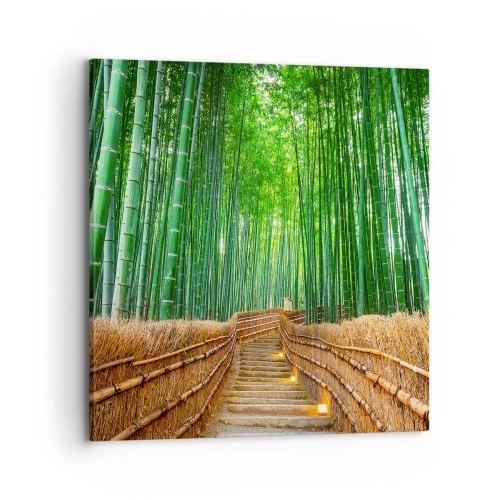 Canvas picture - Essence of Asian Nature - 70x70 cm