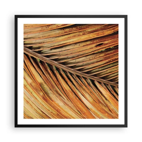 Poster in black frame - Coconut Gold - 60x60 cm