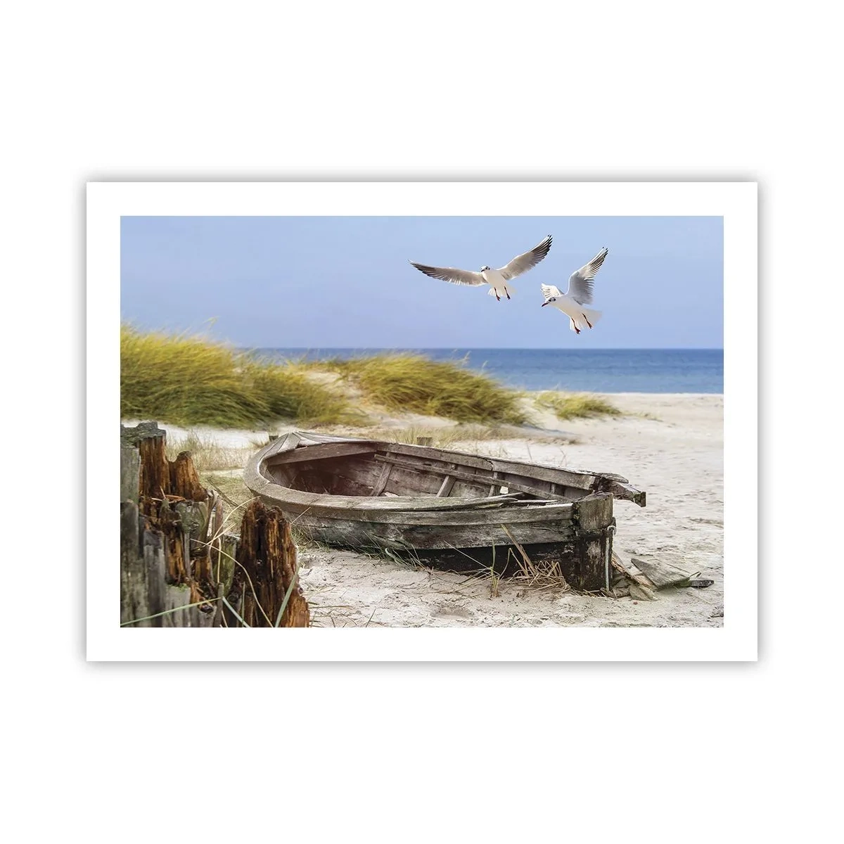 Poster - Bathed in the Sun - 70x50 cm