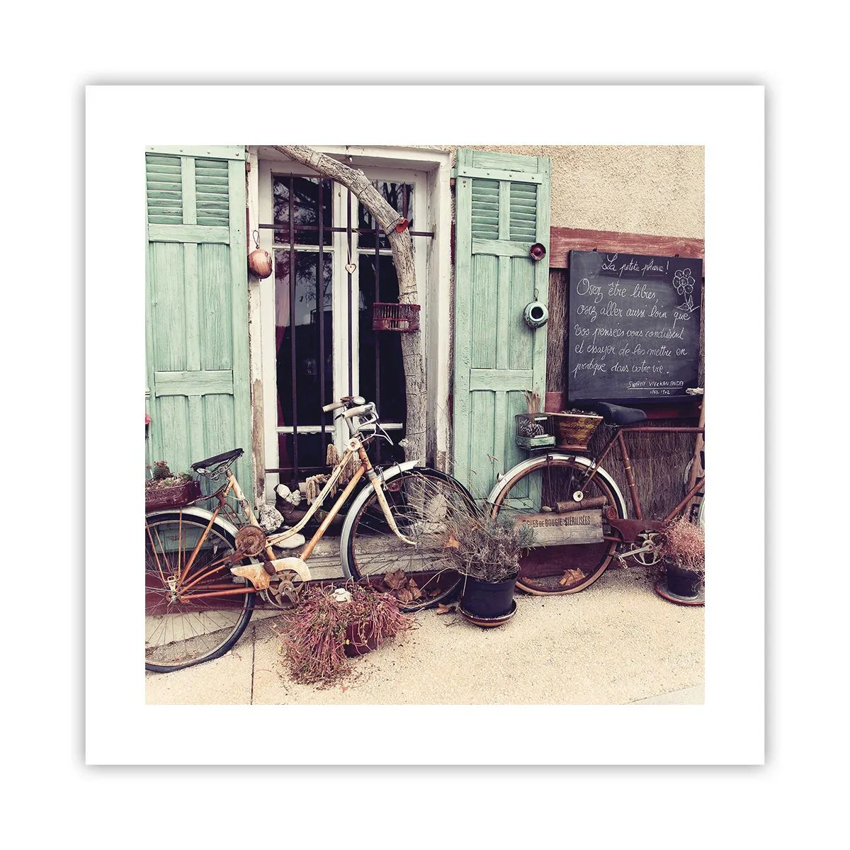 Poster - Long Live Province - 40x40 cm