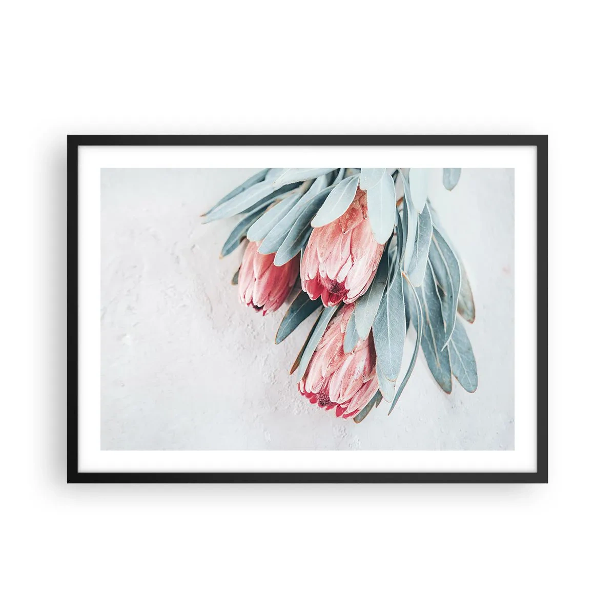Poster in black frame - Ashamed of Their Own Beauty - 70x50 cm