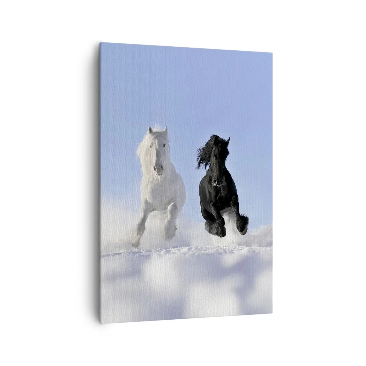 Canvas picture - Black and White Gallop - 70x100 cm