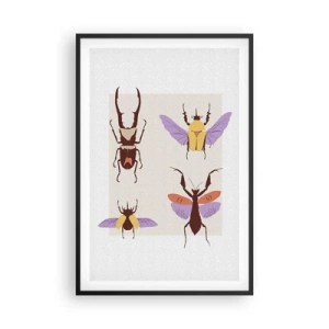 Poster in black frame - World of Insects - 61x91 cm
