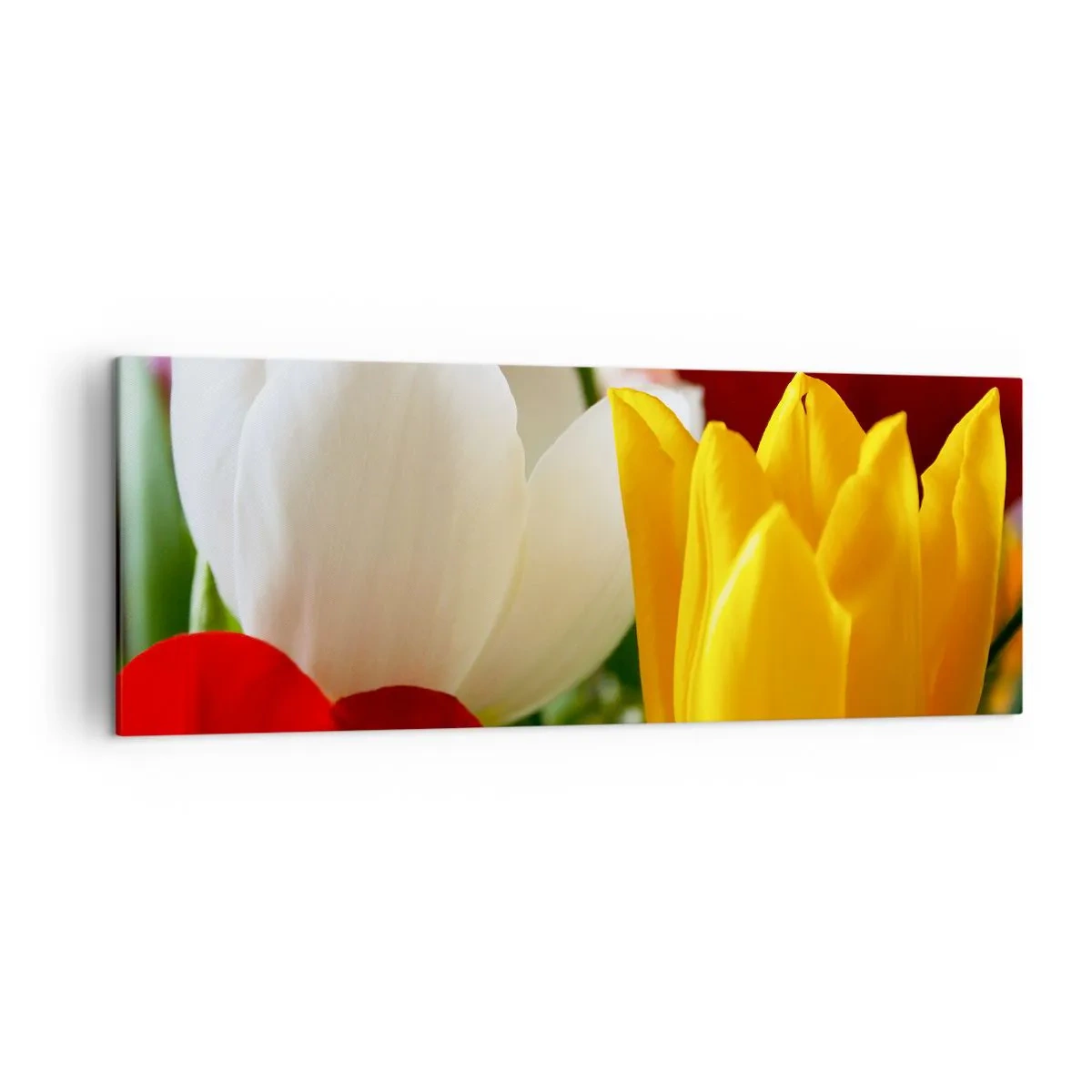 Canvas picture - Tulip Fever - 140x50 cm